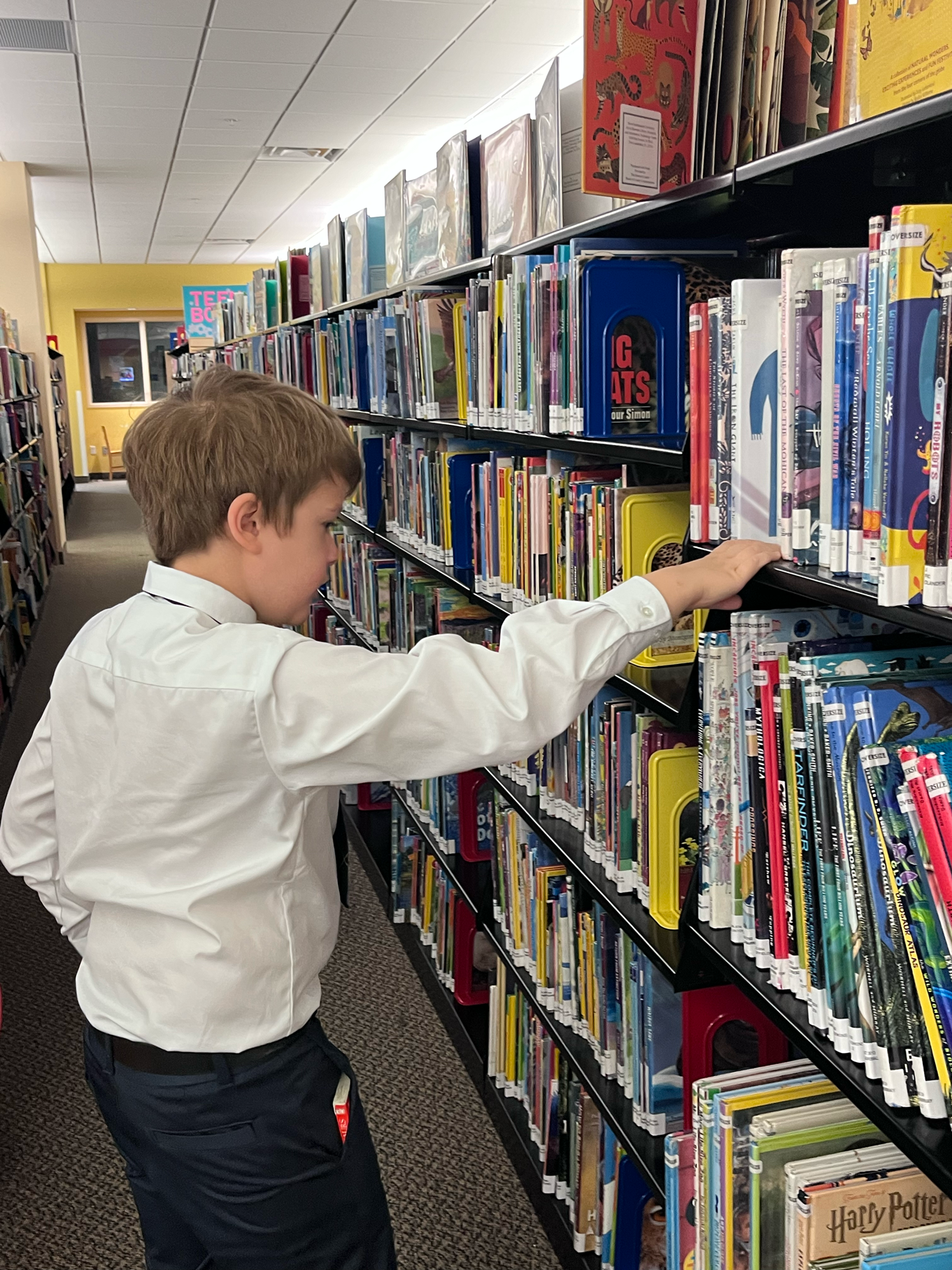 Library Field Trip, 4th Grade exploring the Non-Fiction Books