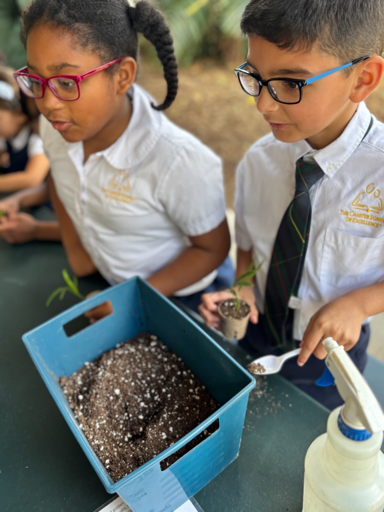2nd Grade students at Flamingo Gardens learning about plants