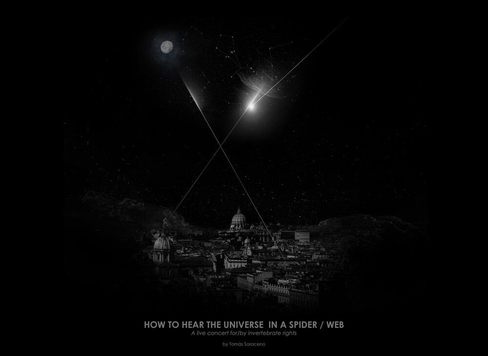 “How to Hear the Universe in a Spider Web”  http://arachnophilia.net/events