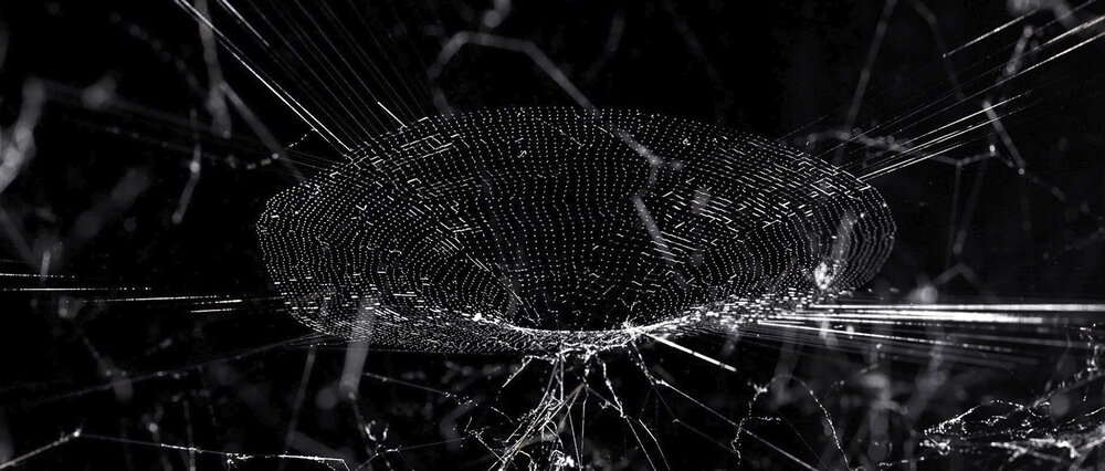 “Hybridwebs” Tomas Saraceno  https://studiotomassaraceno.org/hybrid-webs/