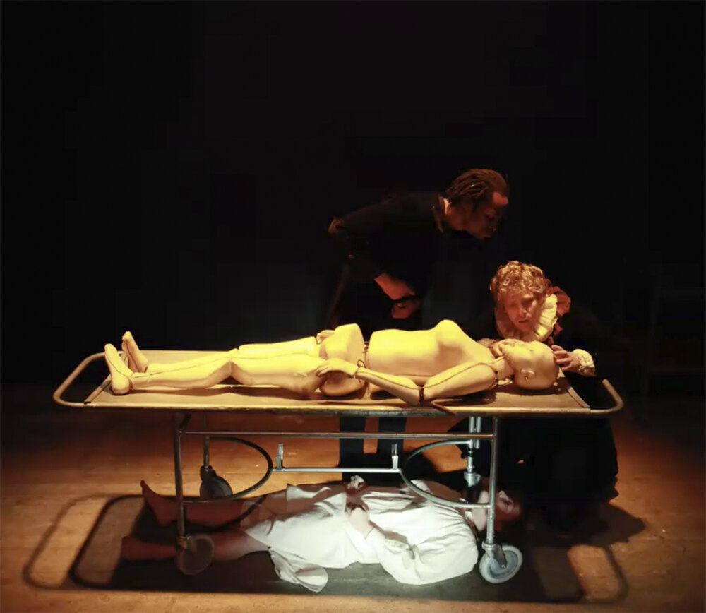 Image from Dr. Taylor’s zoom lecture, Jan 4, 2021