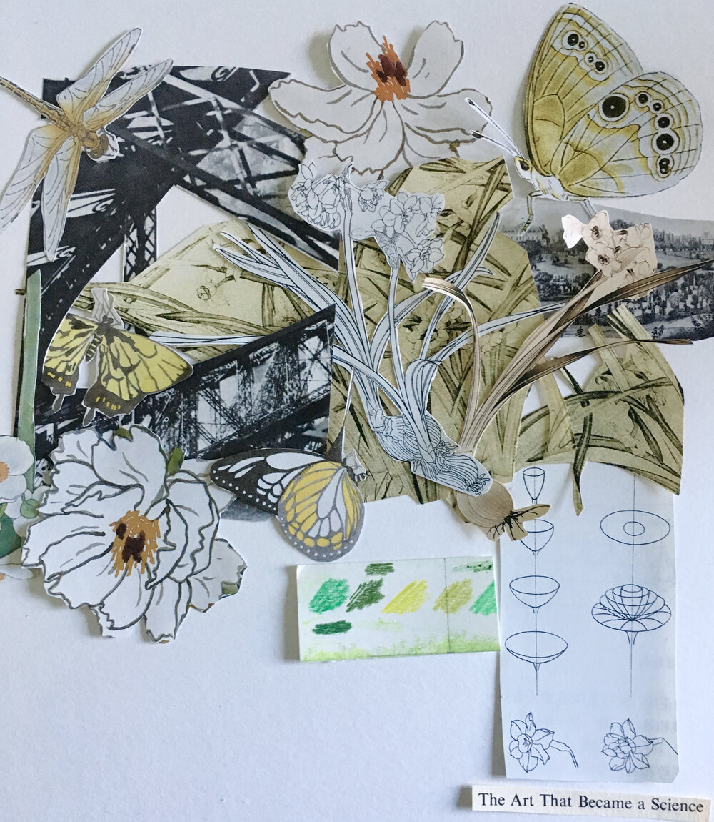 The Art That Became a Science , Ephemeral Collage, Nandita Baxi Sheth, 2017.