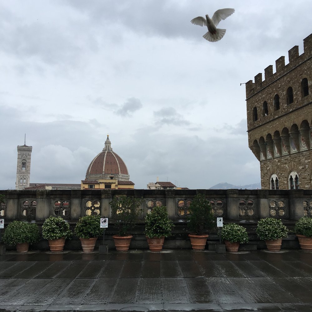 Brunelleschi's dome over the Florence Cathedral from the balcony of the Uffizi Gallery.Photo by Kate Lenahan.