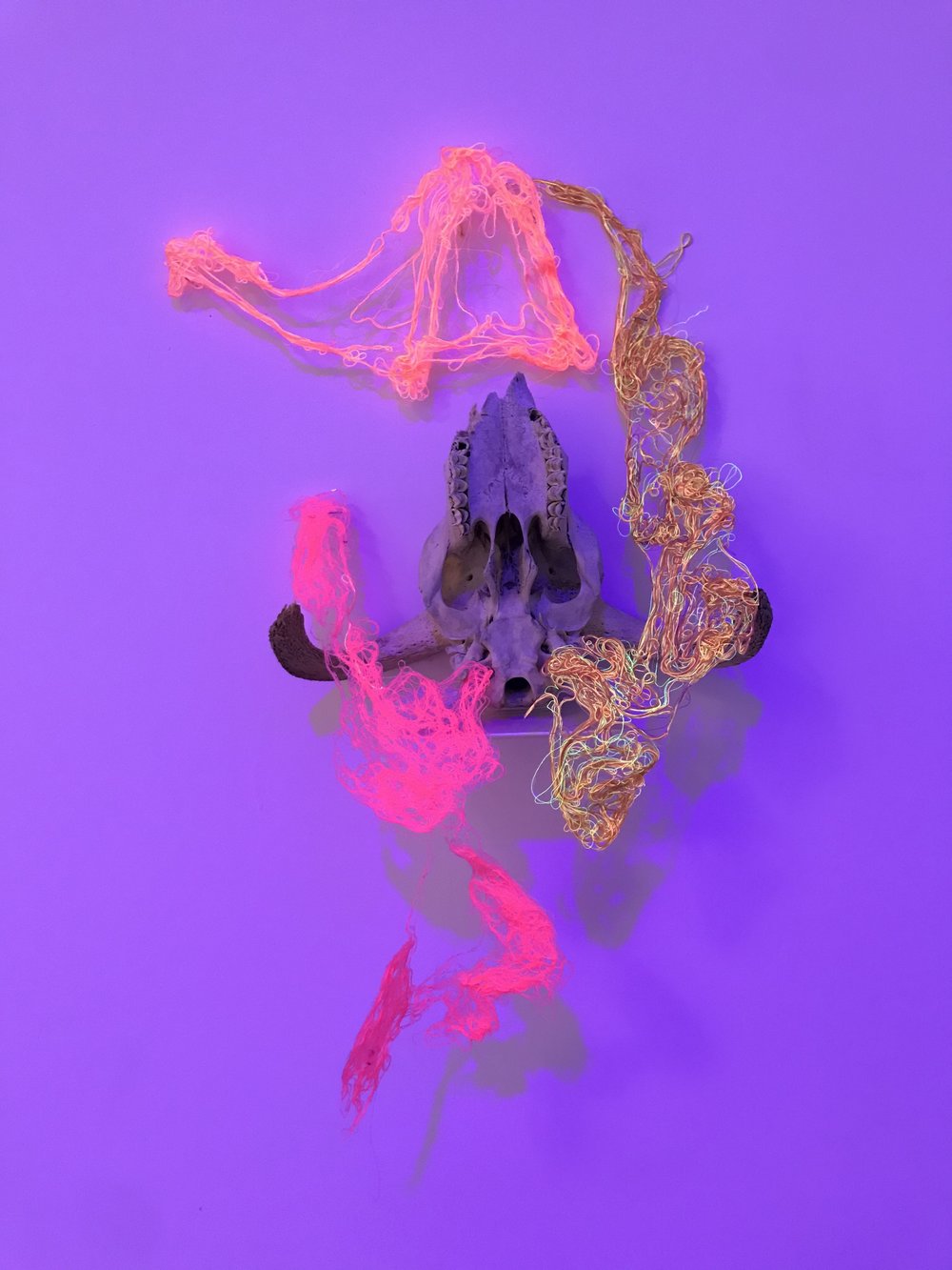 Installation view:  After Image.  Amos Eno Gallery, 2019.