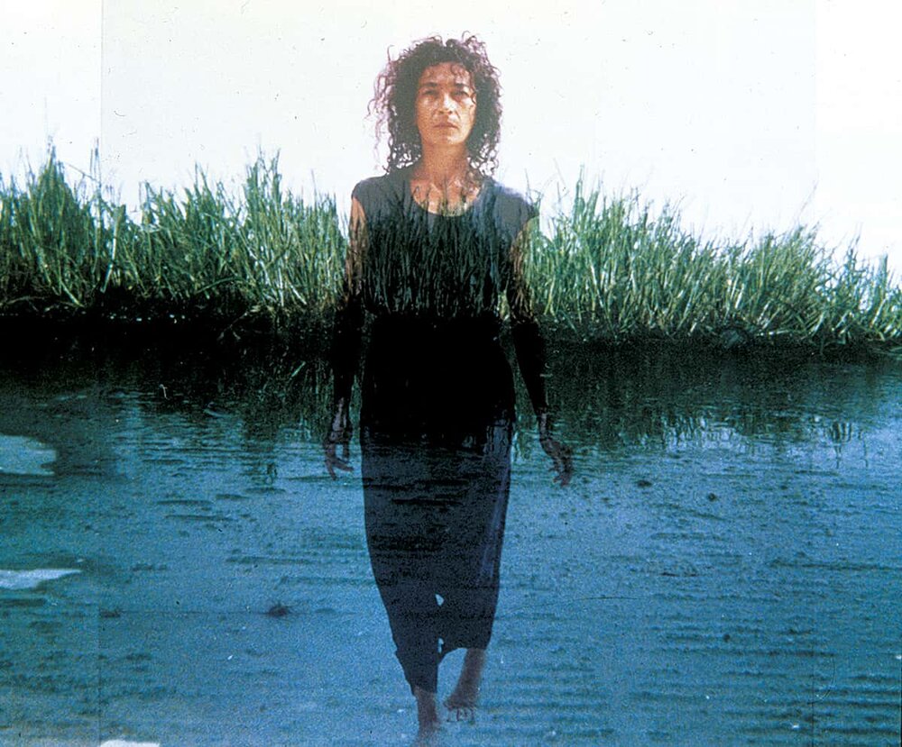 Maria Teresa Hincapié,   Peregrinaje hacia lo Sagrado  (Pilgrimage to the Sacred) 1995