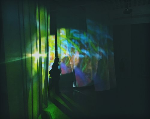 4th Floor to Mildness, 2016, Pipilotti Rist. Photo by Jacqueline Moulton