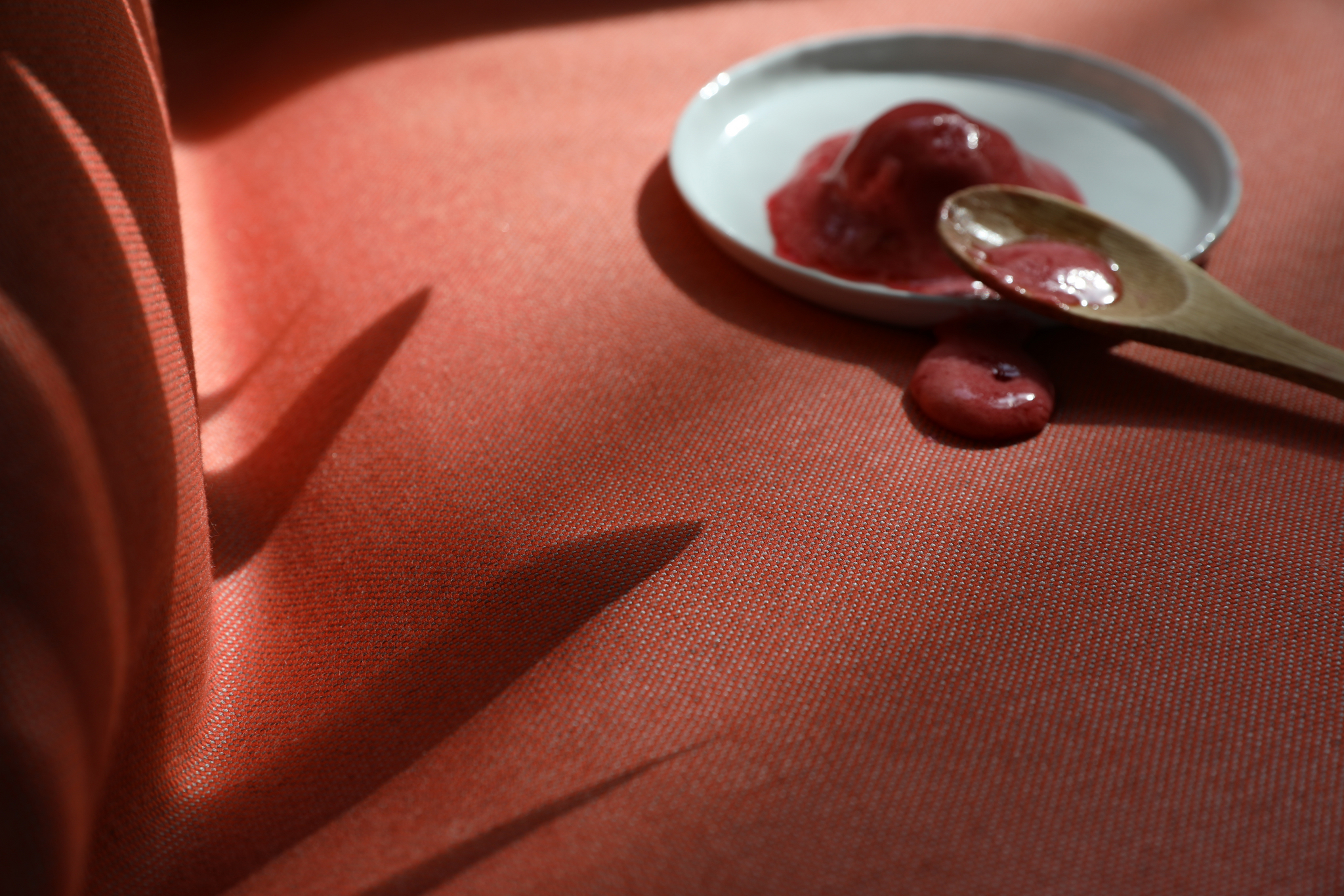 Calm garden terrace with low seating, warm light and textured greenery against a rendered wall.