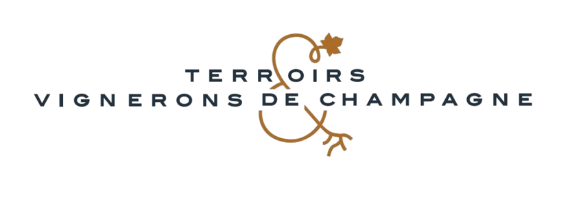 Terroirs vignerons de champagne