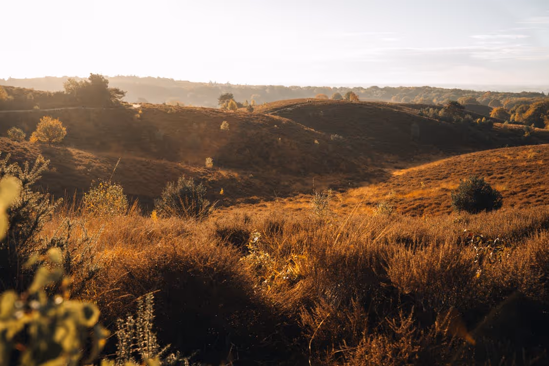 Afbeelding van Autotijd.