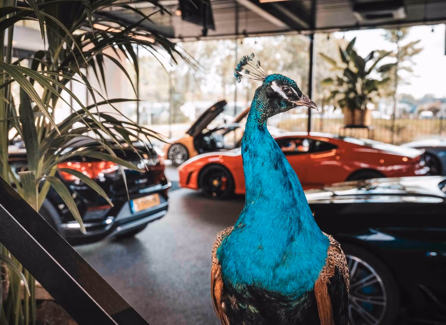 Afbeelding van het Autotijd-pand.