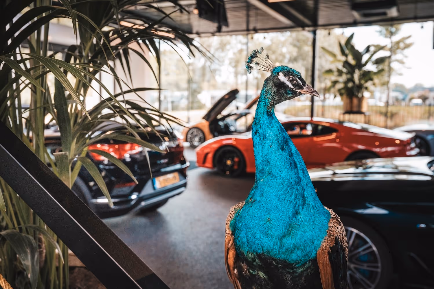 Afbeelding van het Autotijd-pand.