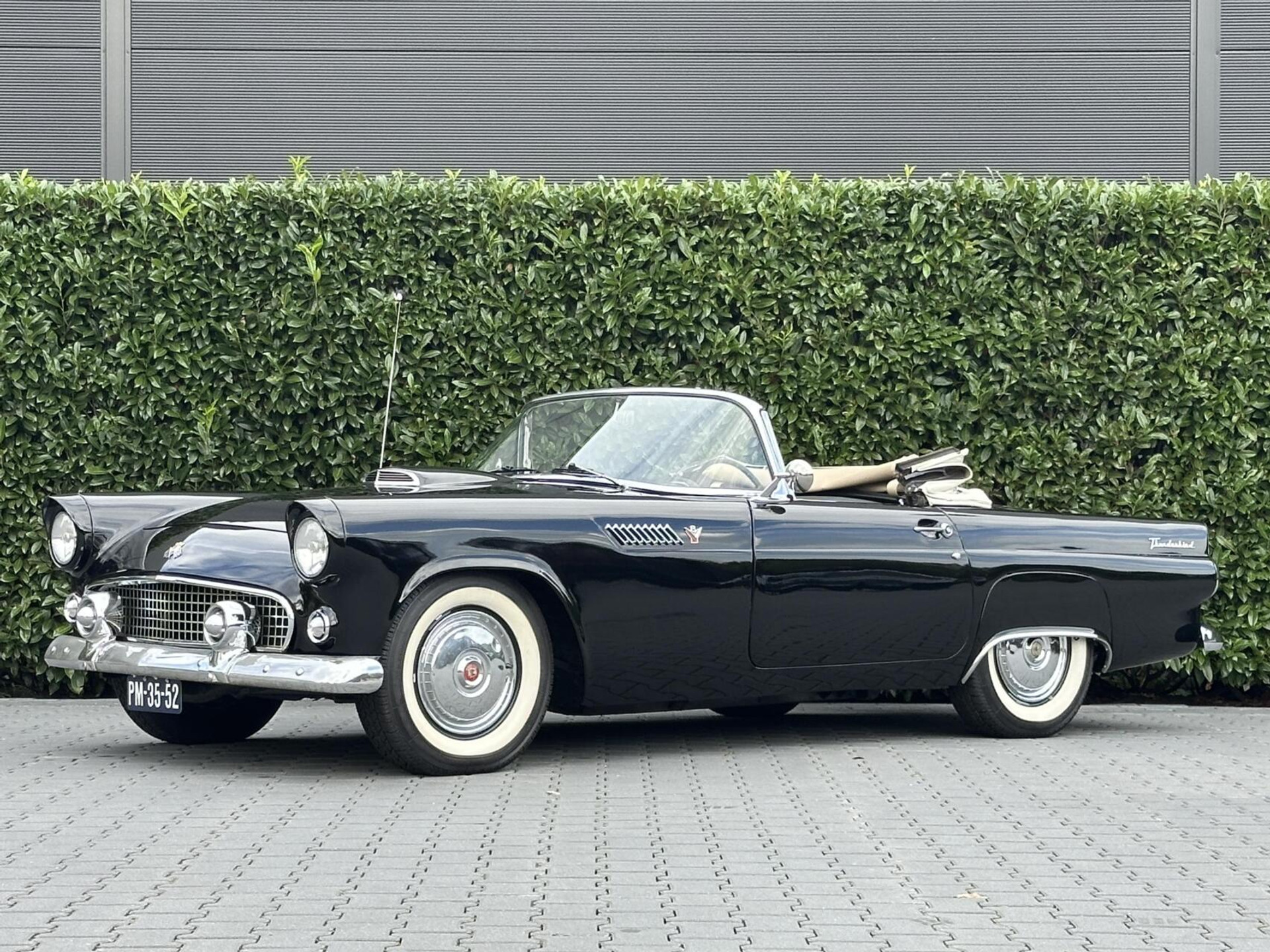 Ford Thunderbird Thunderbird