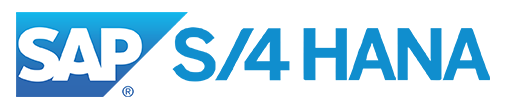 sap partner india