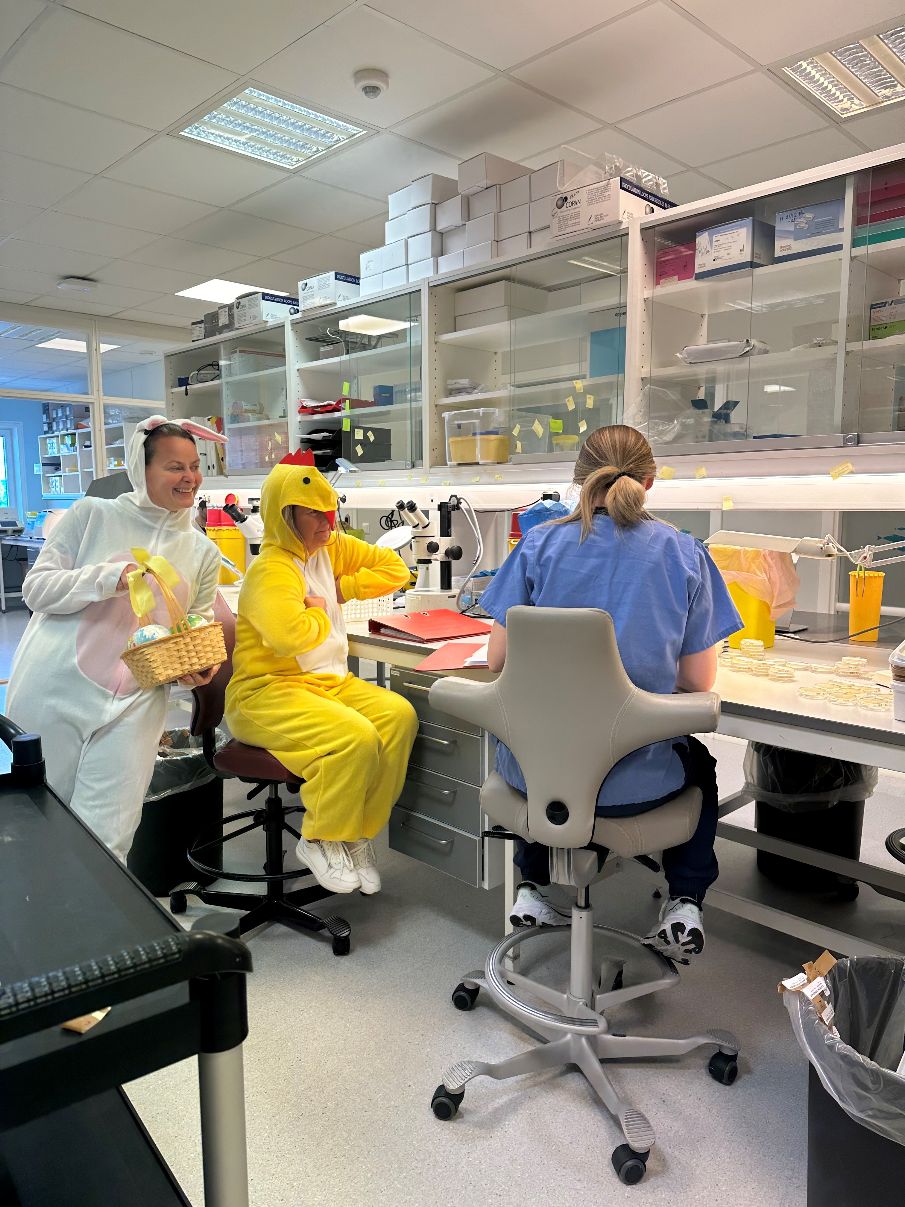 Påsketid i laboratoriet til Labora i Bodø