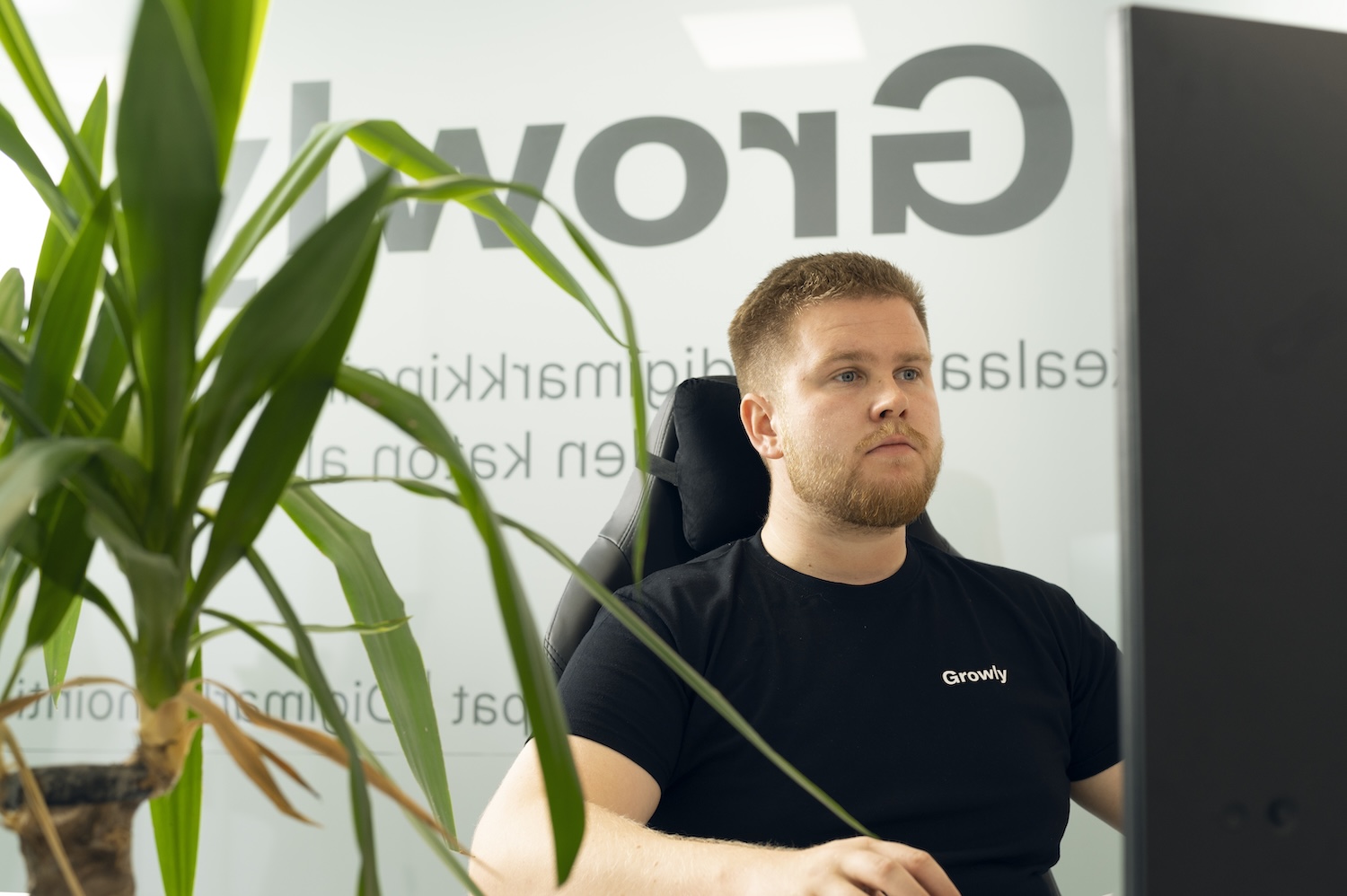 Shopify-toimisto Growly