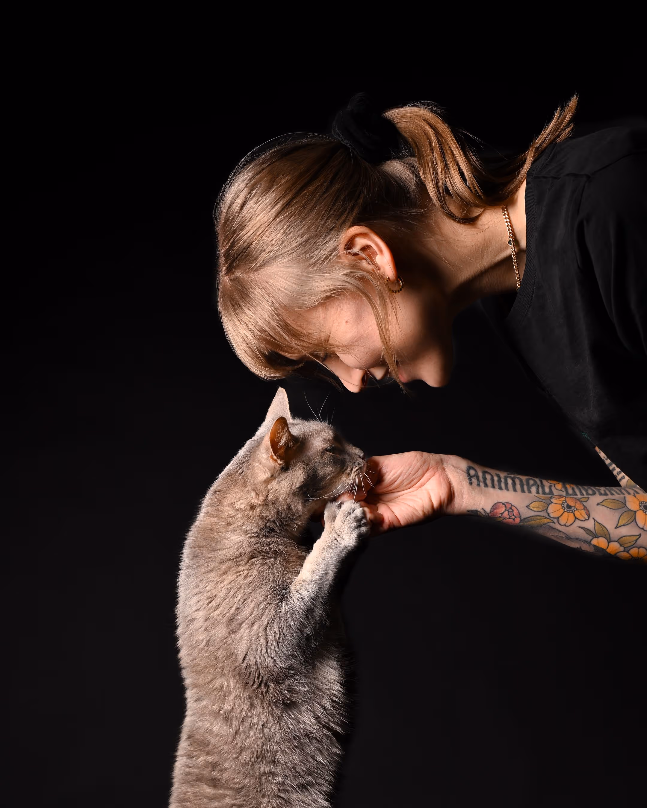 Kissa eläinlääkärissä Vantaalla
