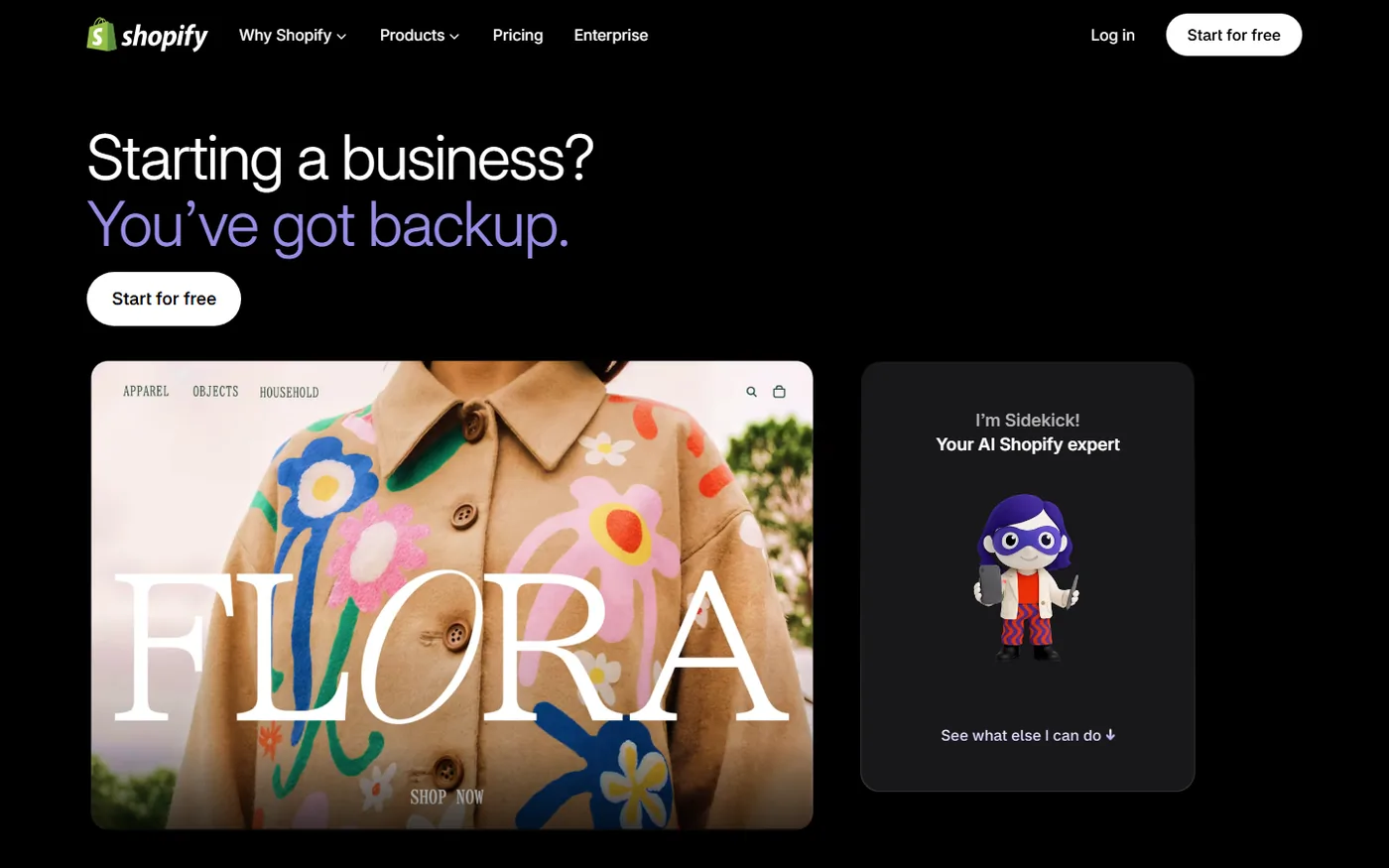 Shopify Sidekick AI assistant, one of the AI tools for dropshipping copy and store edits