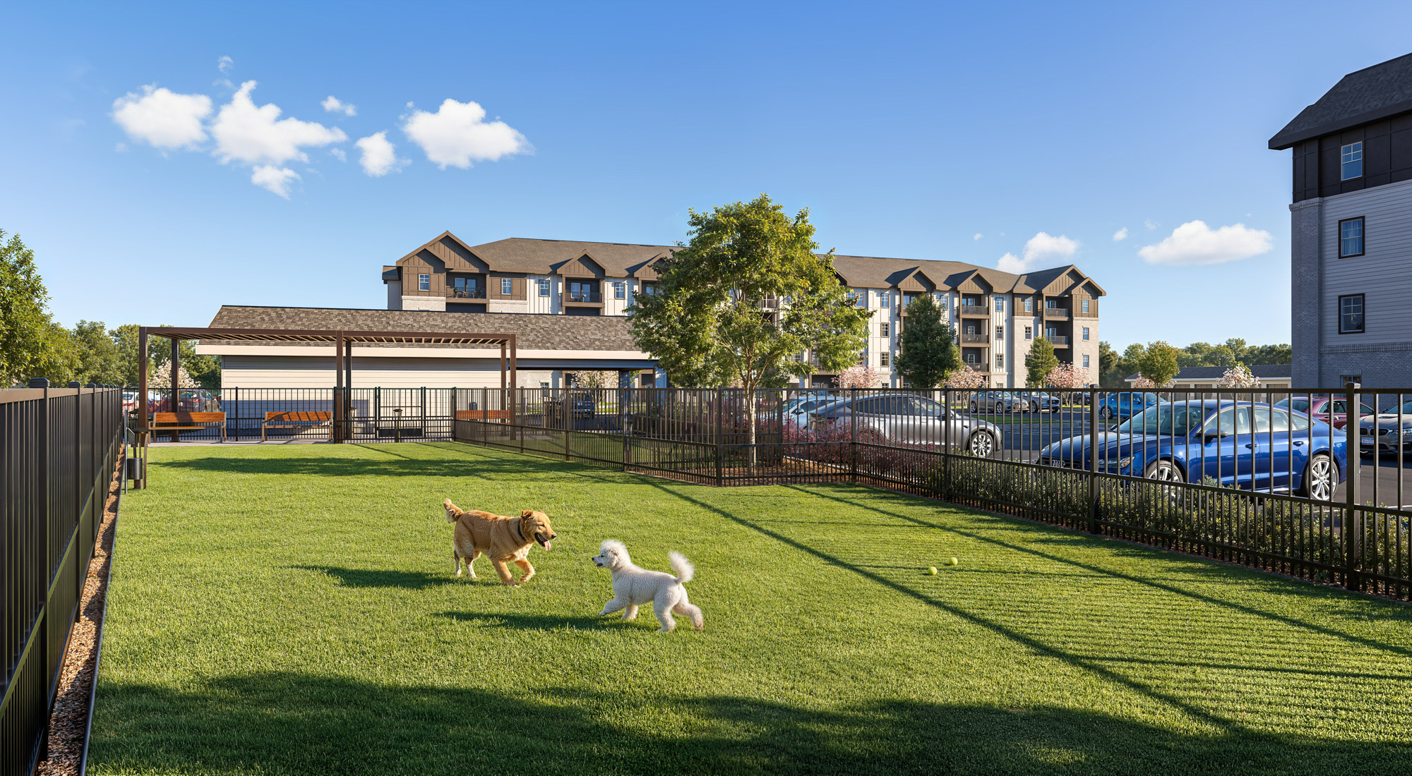 Spectrum Indian Trail dog park rendering with open lawn - Indian Trail, North Carolina