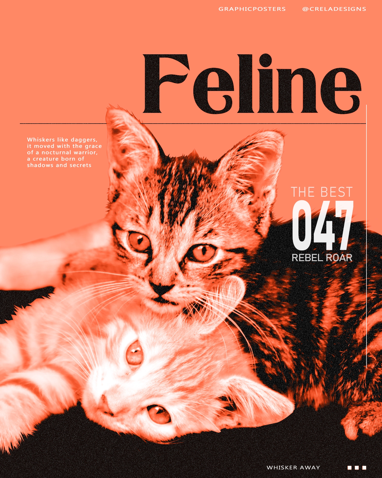 Poster Design