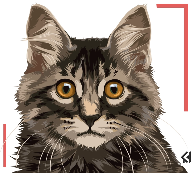 Cat illustration