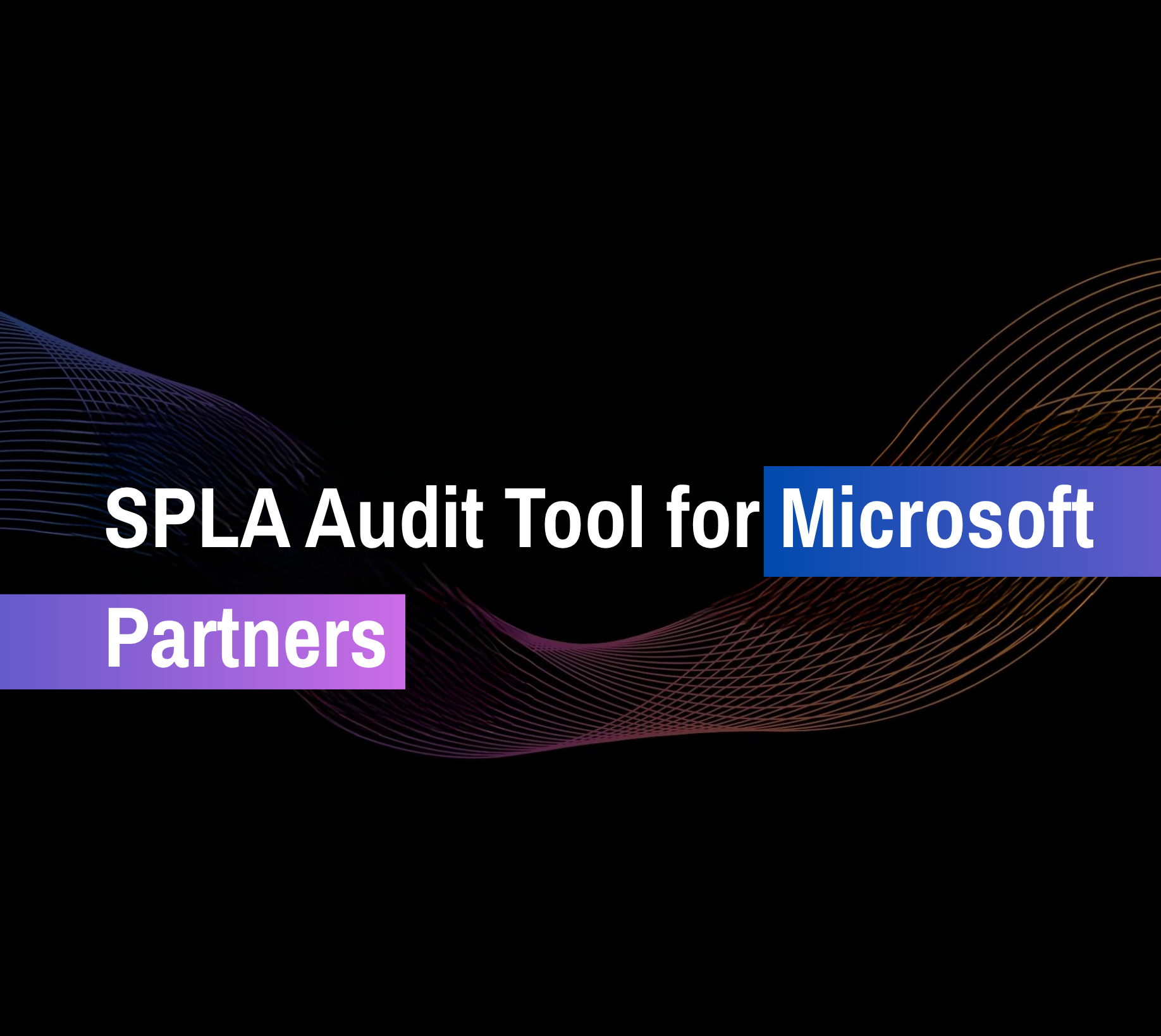 Graphic illustration on SPLA audit tool for Microsoft partners