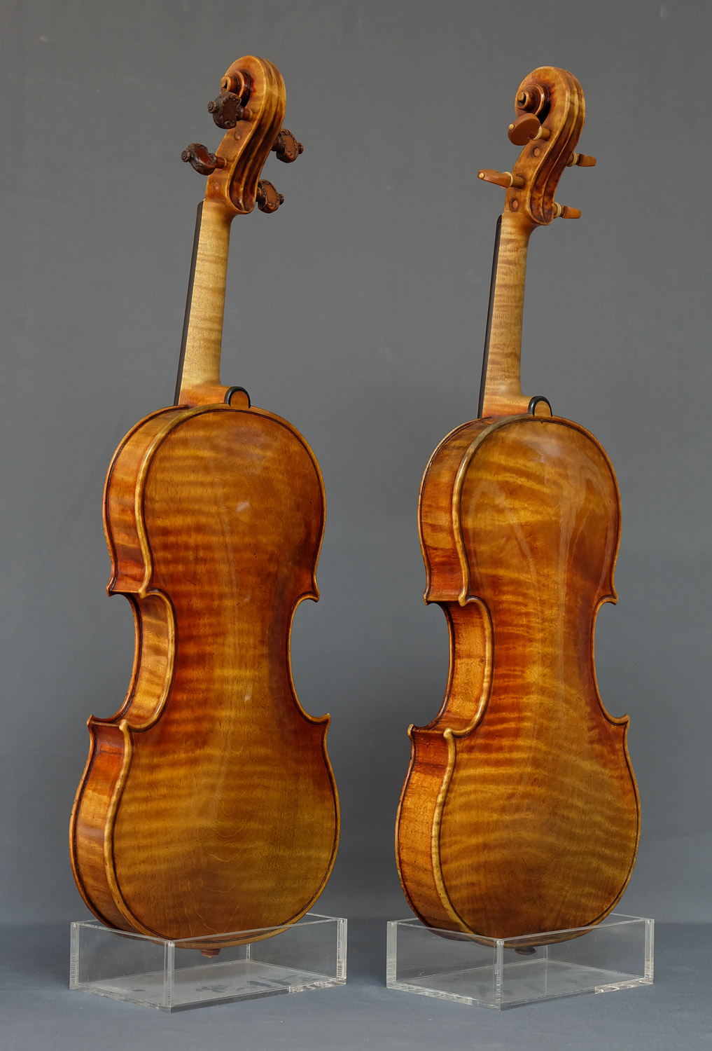 Deux violons Stradivari Kruse, original et copie de dos en détails sur fond gris