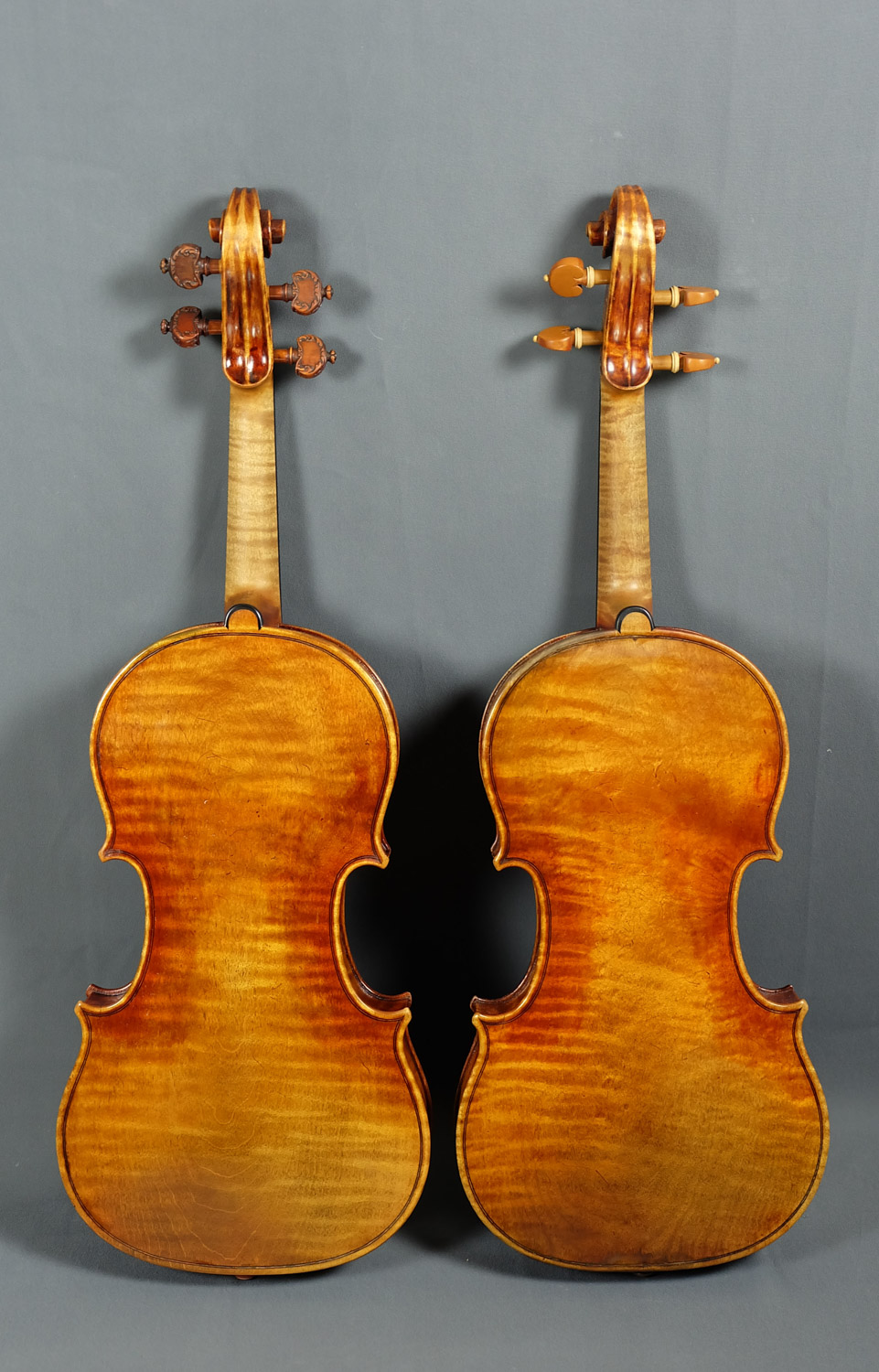 Deux violons Stradivari Kruse de dos sur fond gris