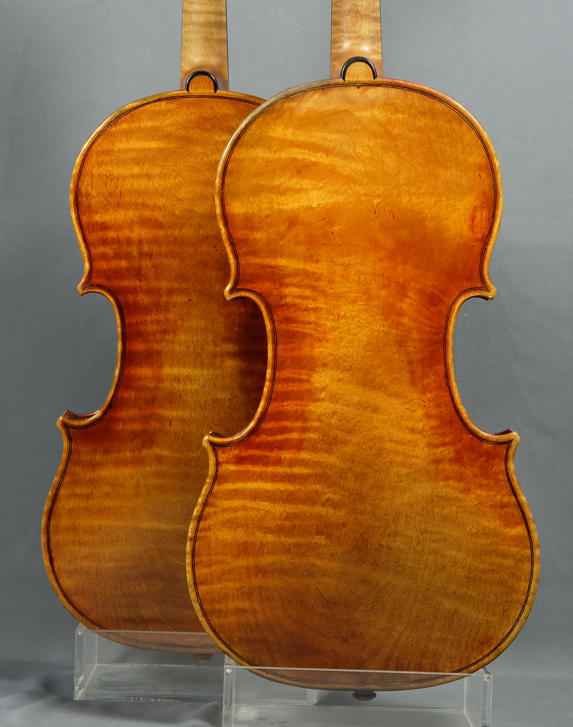 Deux violons Stradivari Kruse de dos en détails sur fond gris