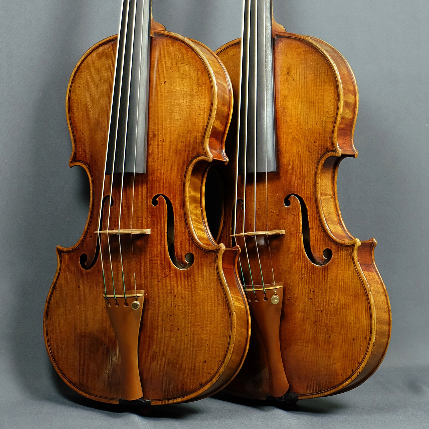 Deux violons Stradivari Kruse de face sur fond gris