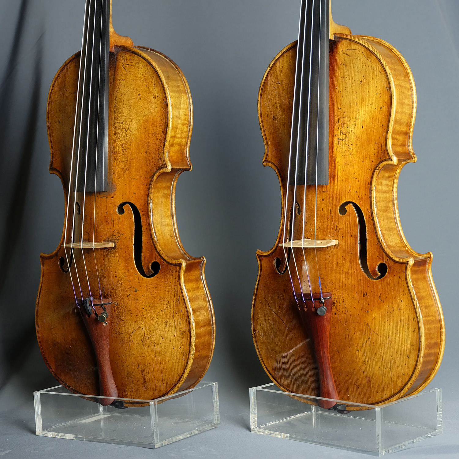 Deux violons Gagliano, original et copie, de face en détails sur fond gris