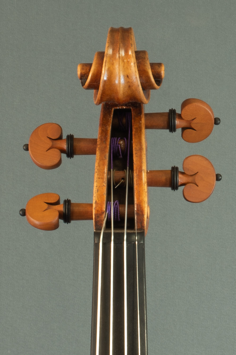 Gros plan sur la tête et les chevilles d'un violon Stradivarius du luthier Bogidar Vermand