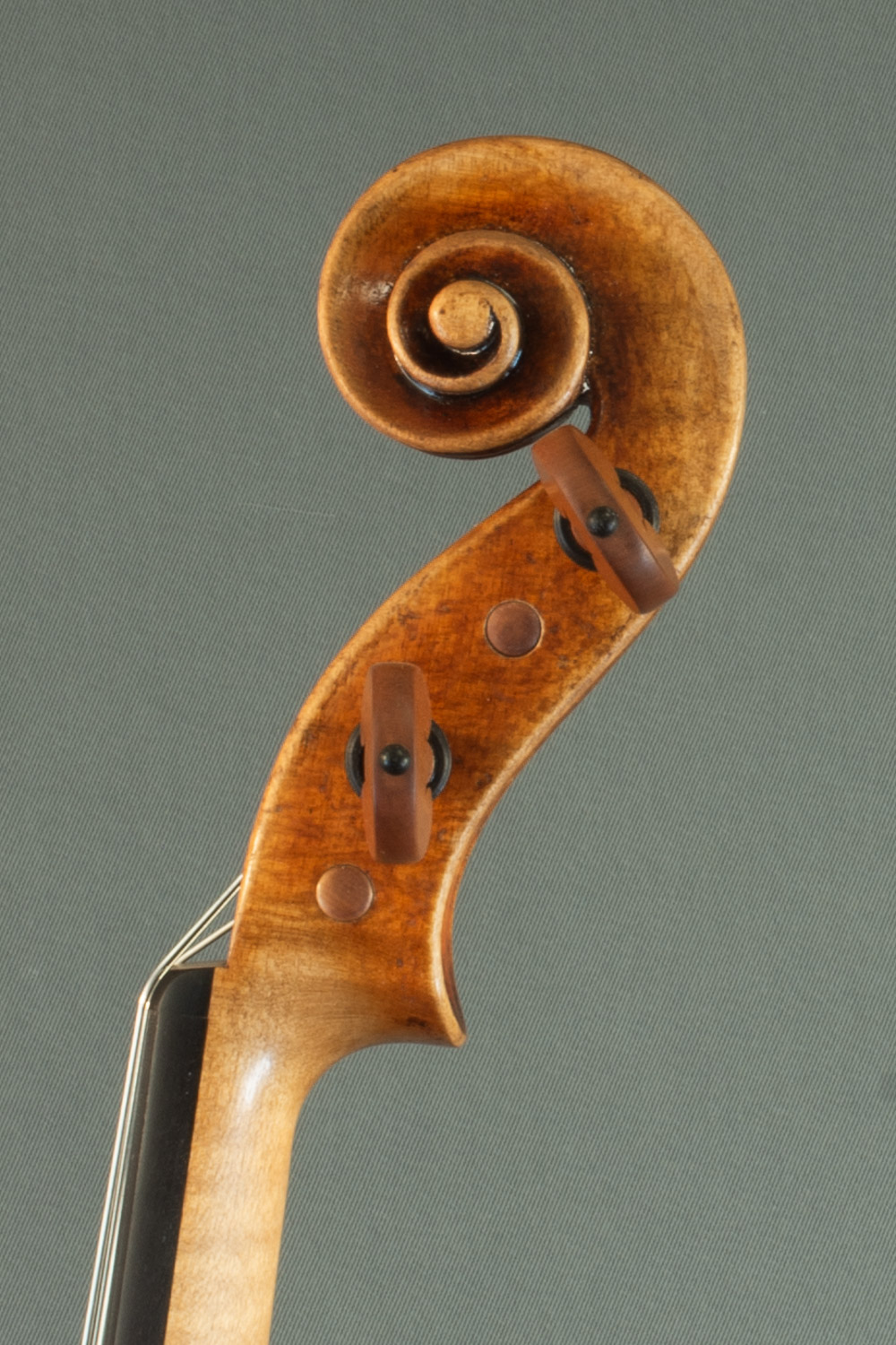 Gros plan sur la volute d'un violon Stradivarius du luthier Bogidar Vermand