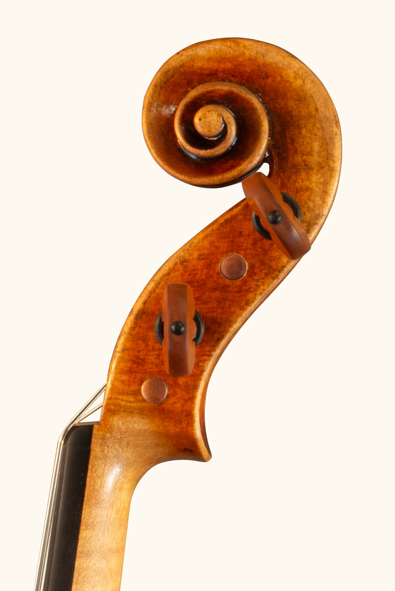 Gros plan sur la tête d'un violon Stradivari de Bogidar Vermand