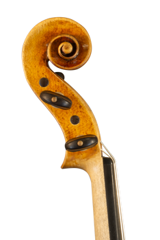 Gros plan sur la volute d'un violon Guarneri du luthier Bogidar Vermand