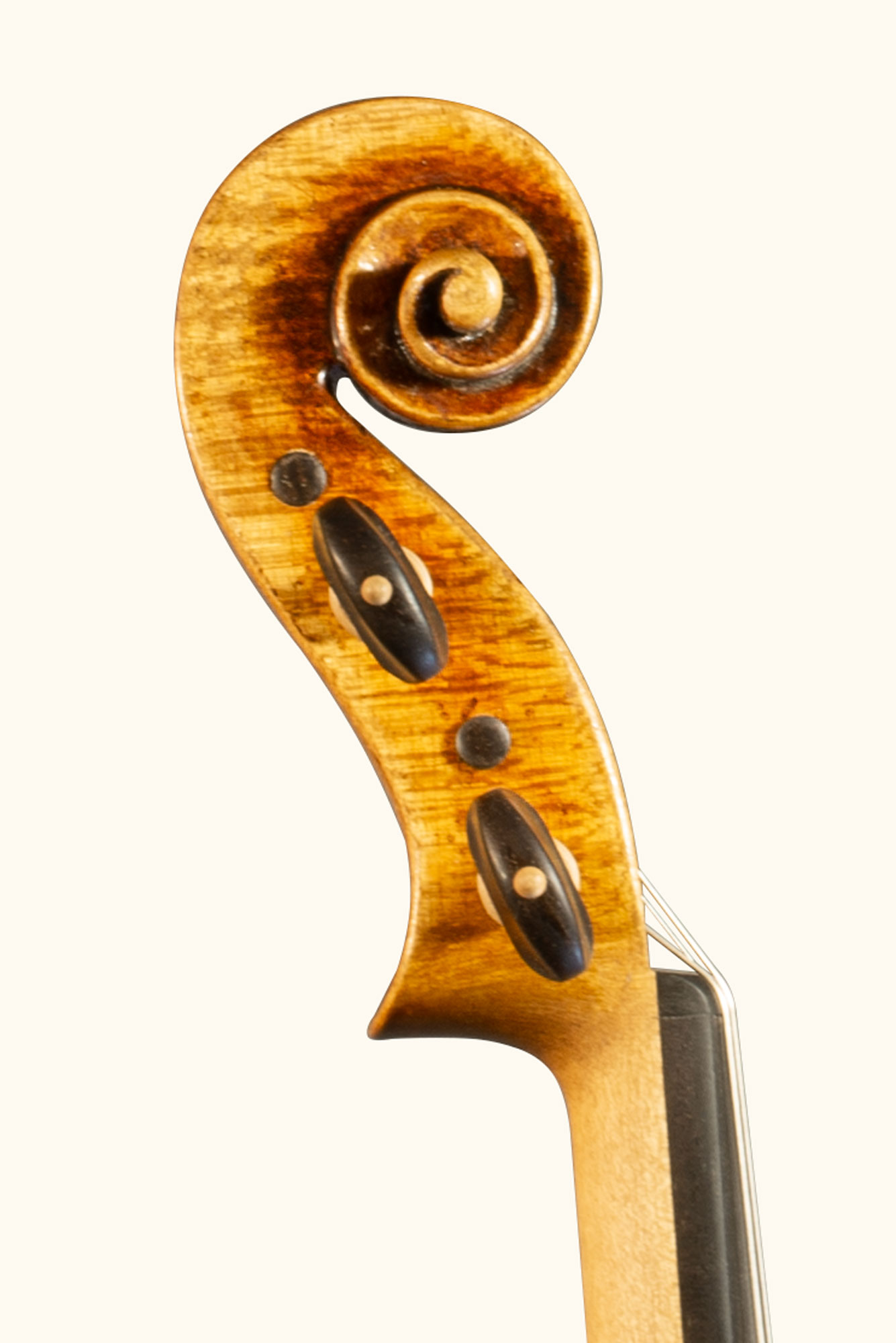 Gros plan sur la volute d'un violon Guarneri sur fond gris du luthier Bogidar Vermand