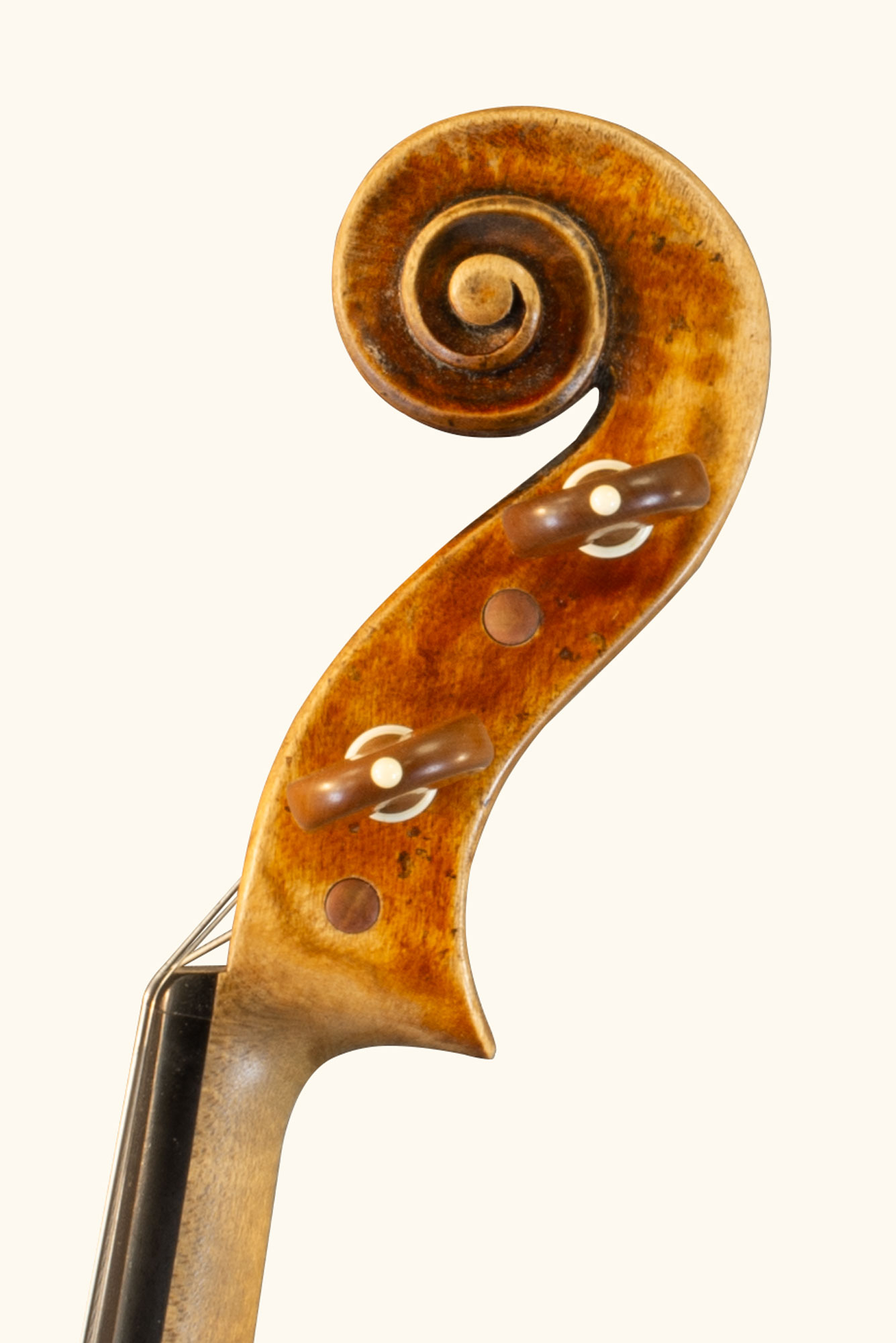 Gros plan sur la tête d'un violon Guarneri du luthier Bogidar Vermand