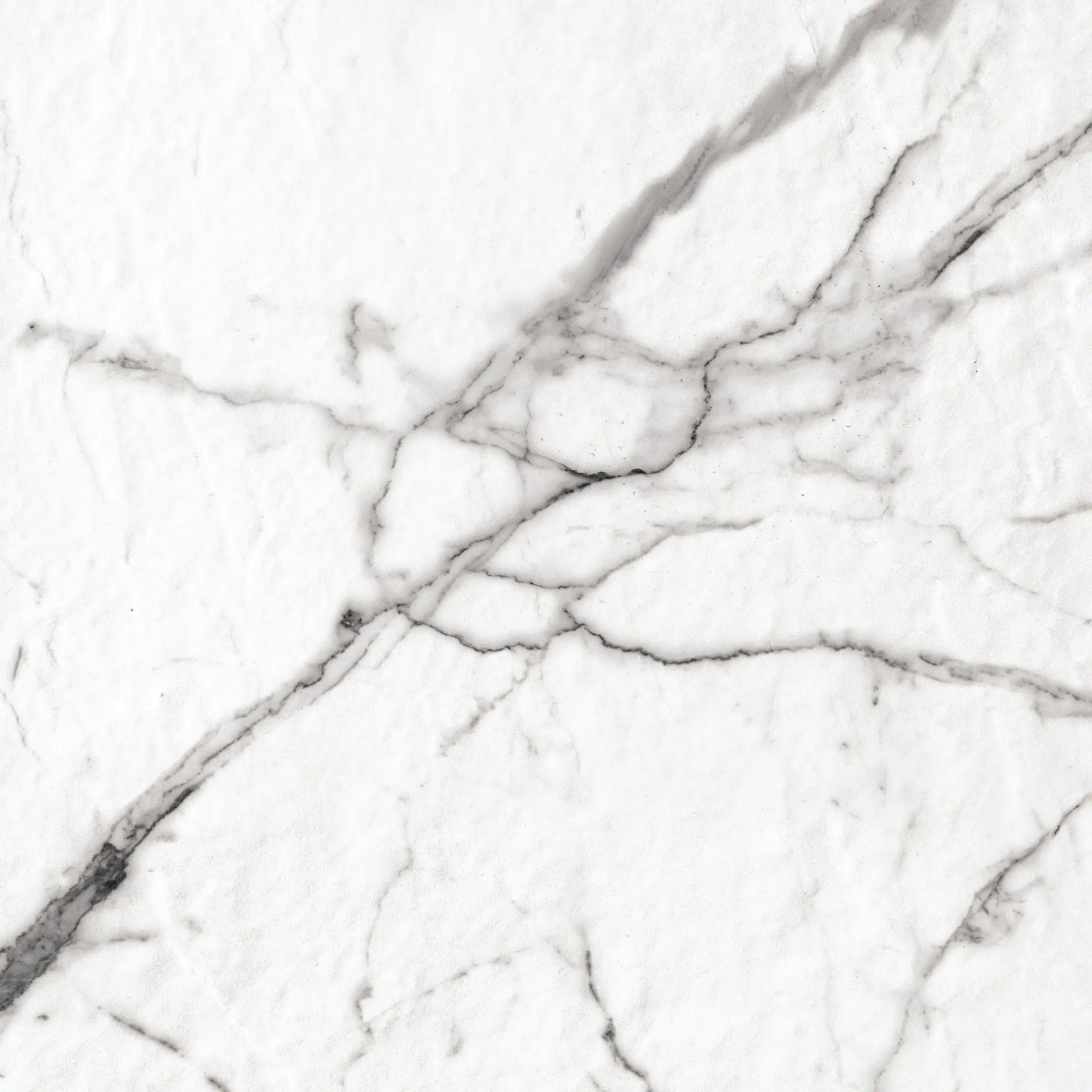 White Carrara marble surface with fine gray veining patterns.