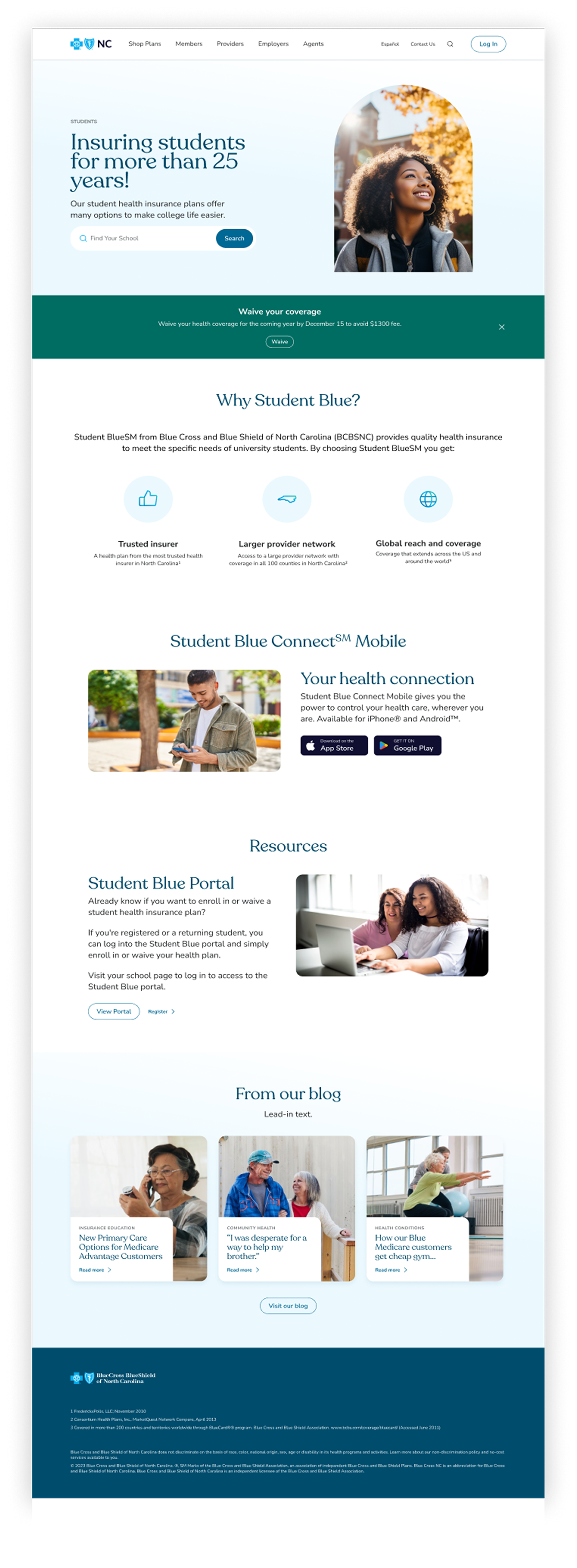 homepage design option