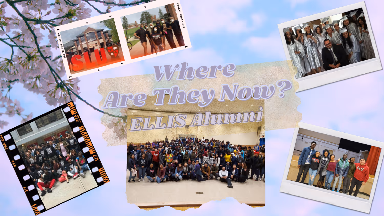 where are they now image