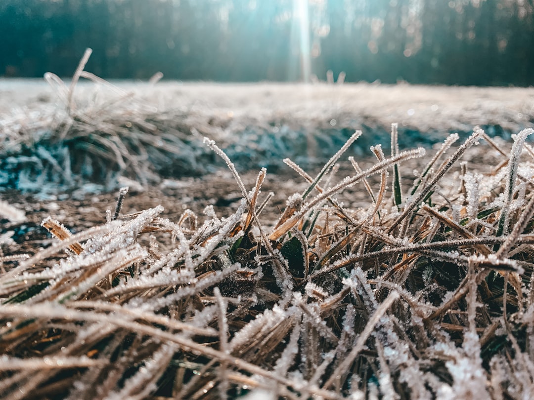 The Ultimate Guide to How Dry Cold Winters Stress Your Furnace