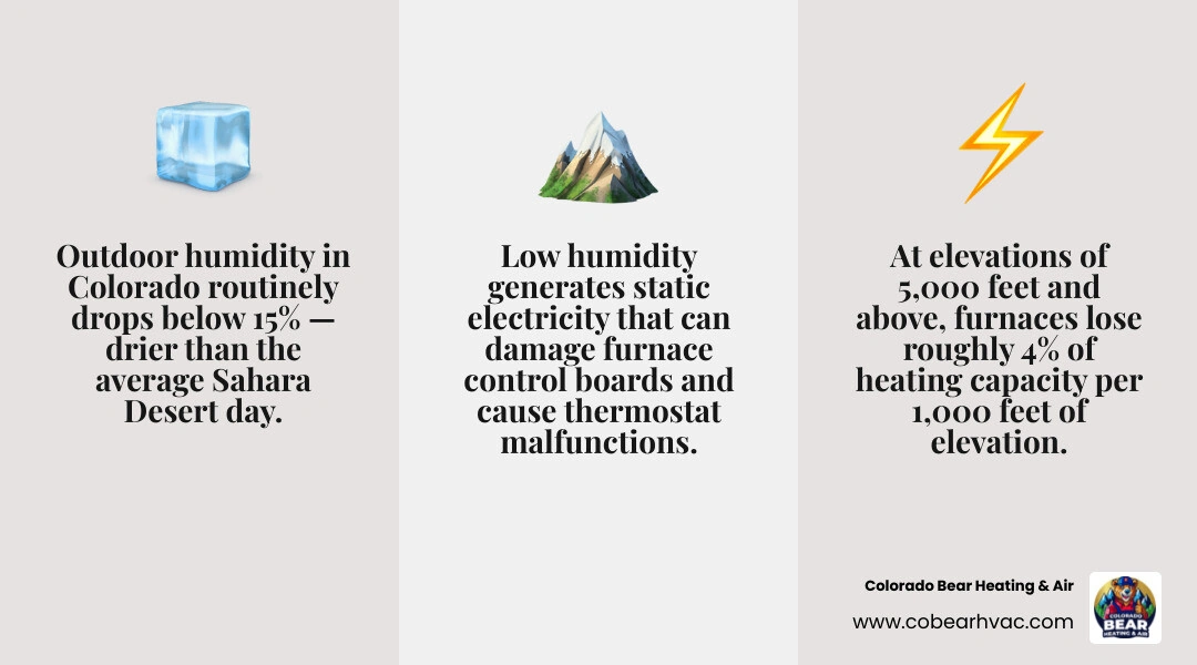 Infographic showing how dry cold air stresses furnace: filter clogging, static damage, runtime wear, thermostat creep, heat