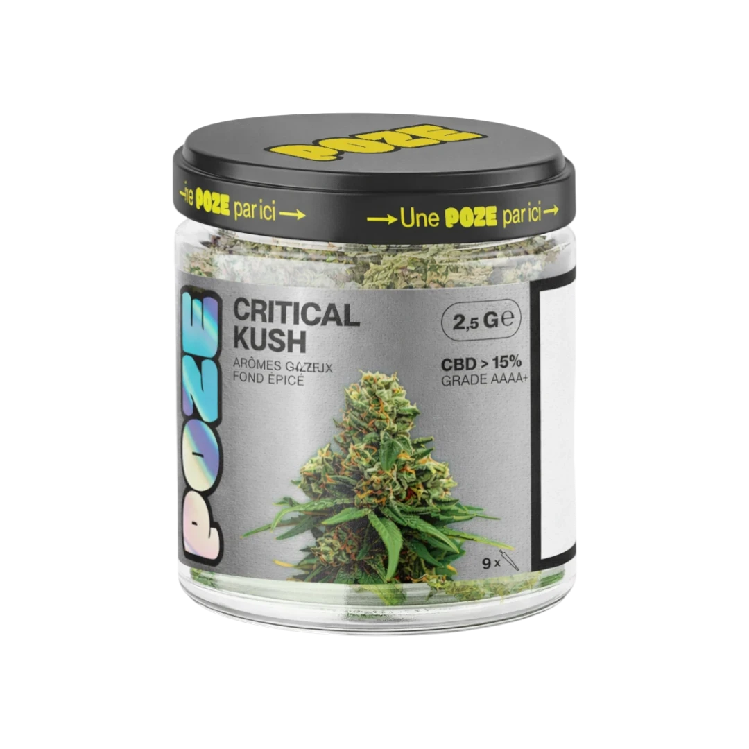POZE Critical Kush Pot 2,5 g