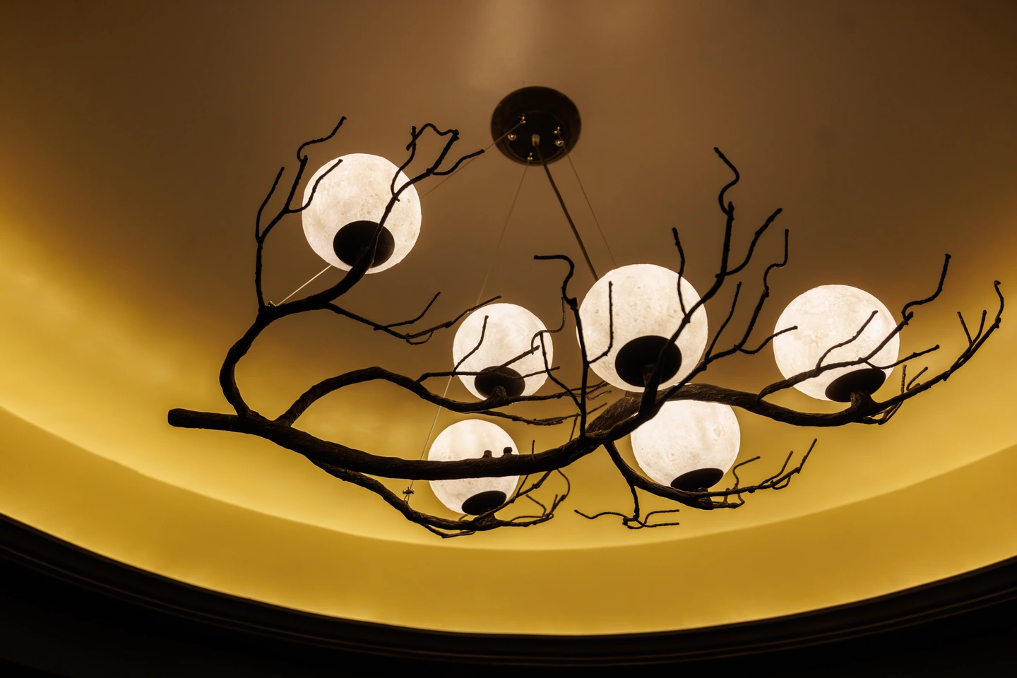 Unique hanging light fixture that looks like moons on a branch