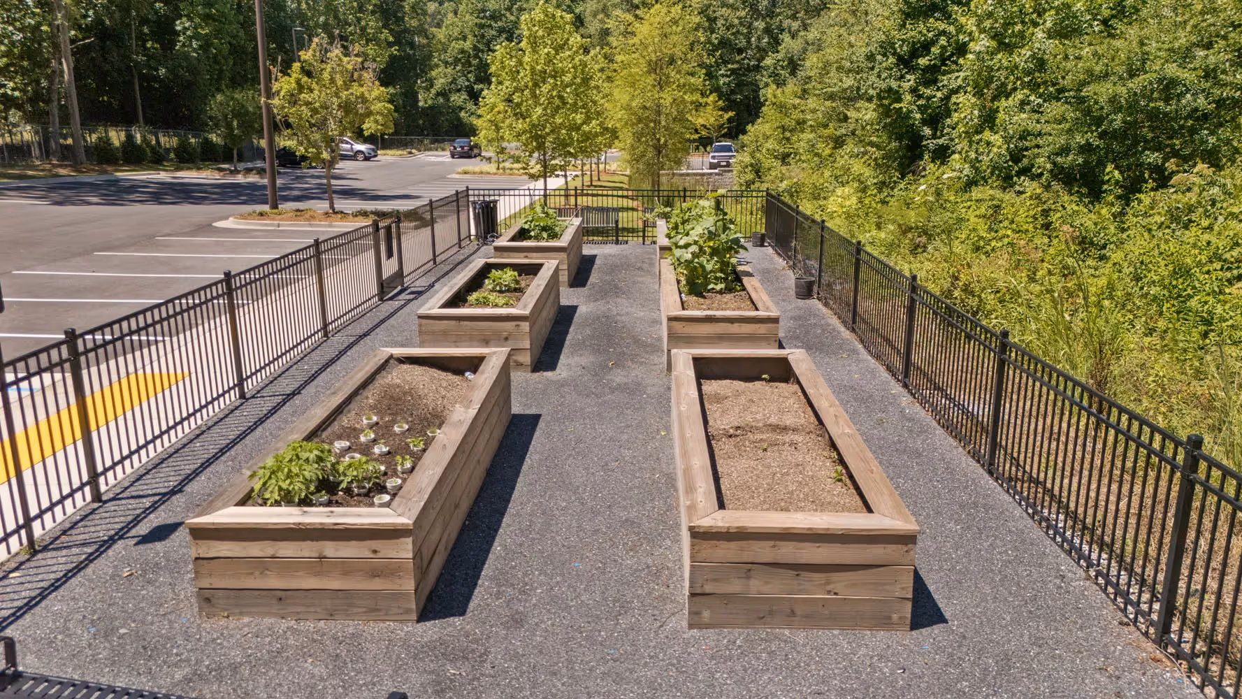 Community garden