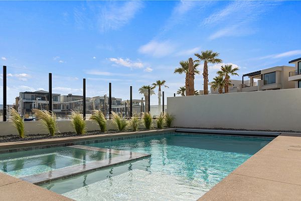 Backyard in-ground pool with tanning ledge, ornamental grasses, and palm trees overlooking modern homes under a blue sky.