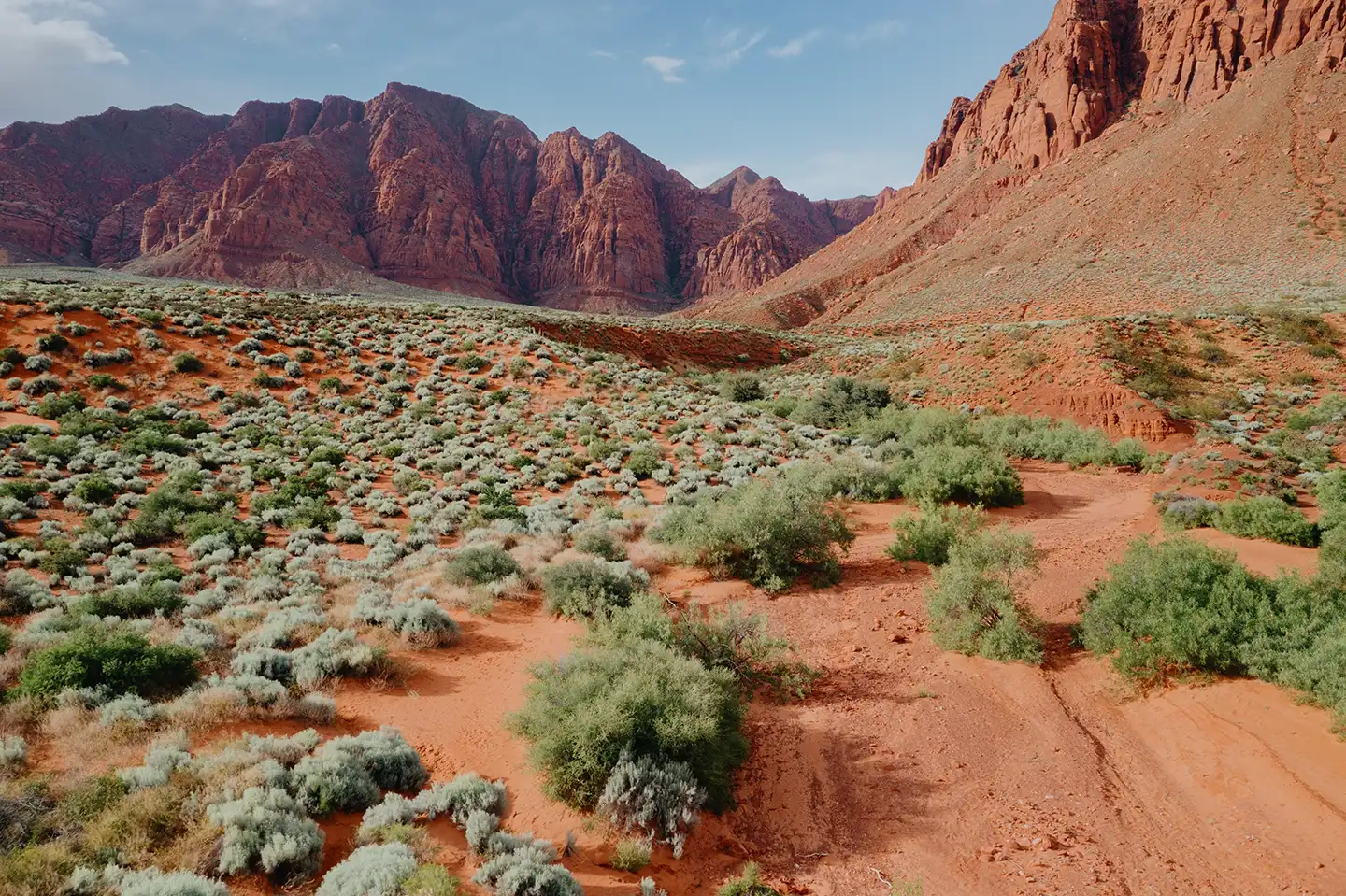 Red sandstone cliffs rising above a desert valley floor dotted with sagebrush and sandy red soil