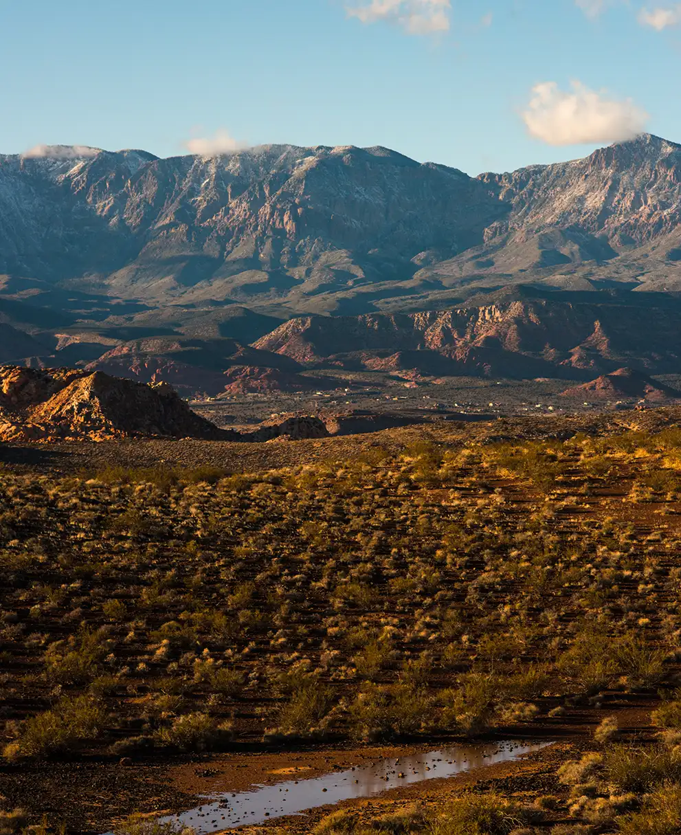 Golden-hour desert landscape with scattered brush leading to dramatic red rock formations and snow-capped mountains