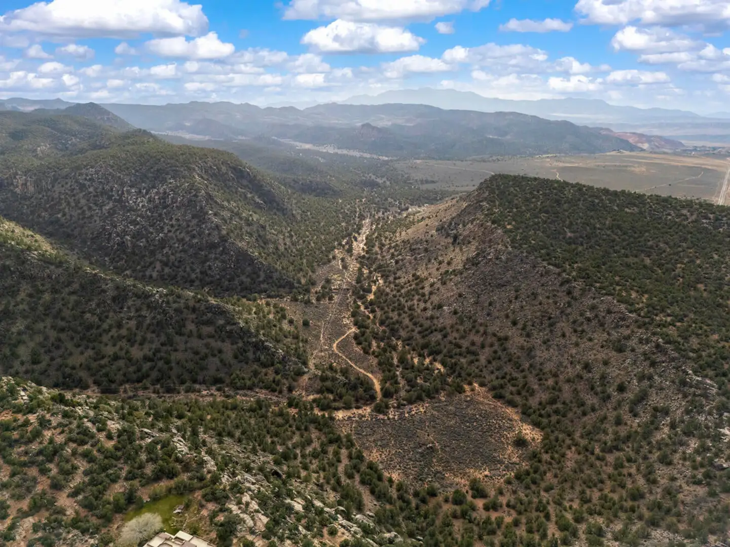 Aerial drone view of a forested canyon and dry wash winding between juniper-covered ridges in high-desert terrain.