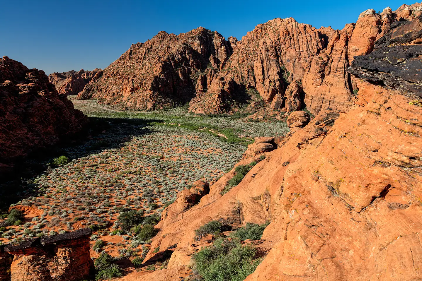 Rugged red sandstone cliffs and a vegetated valley floor in Snow Canyon, with a clear blue sky above.