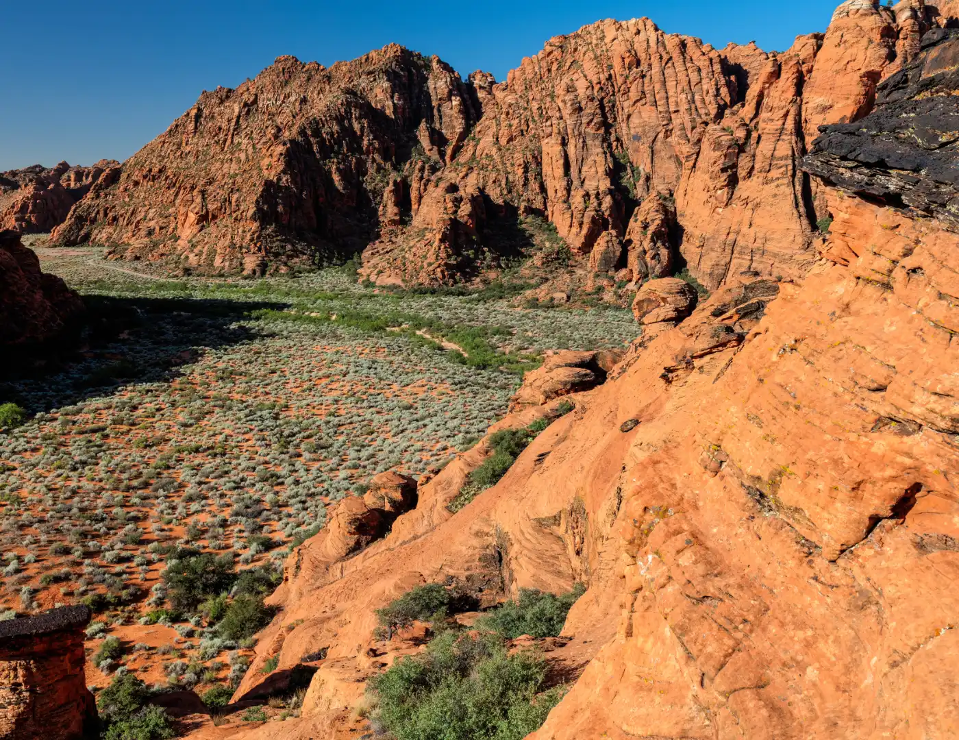 Overlook of a red sandstone canyon with rugged cliffs, slickrock ledges, and low desert vegetation under a clear blue sky